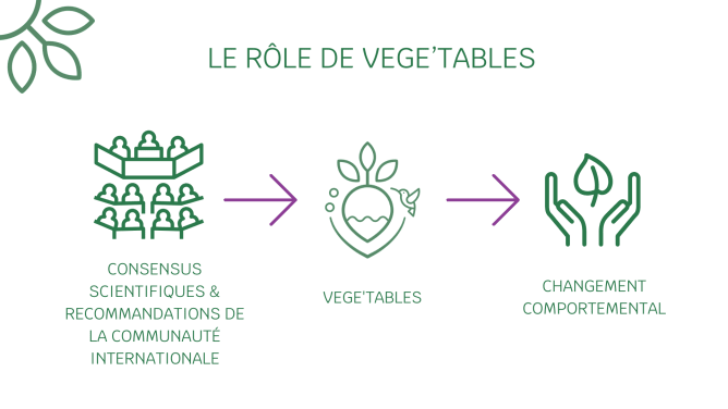 Le rôle de Vege'tables
