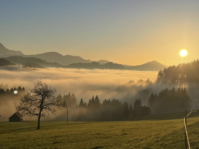 Alpstein Nebelmeer 1
