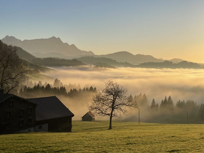 Alpstein Nebelmeer 2