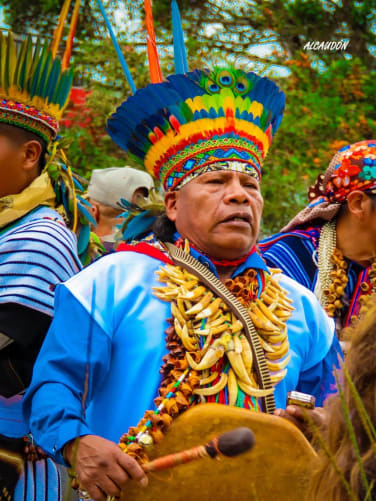 Les Taita, médecins traditionnels