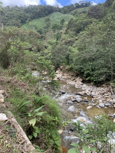 Des beaux cours d'eau
