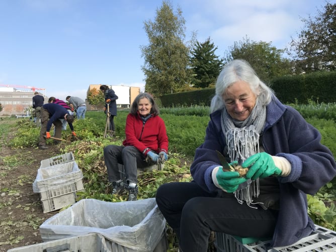 Viele Generationen gemeinsam auf dem Feld