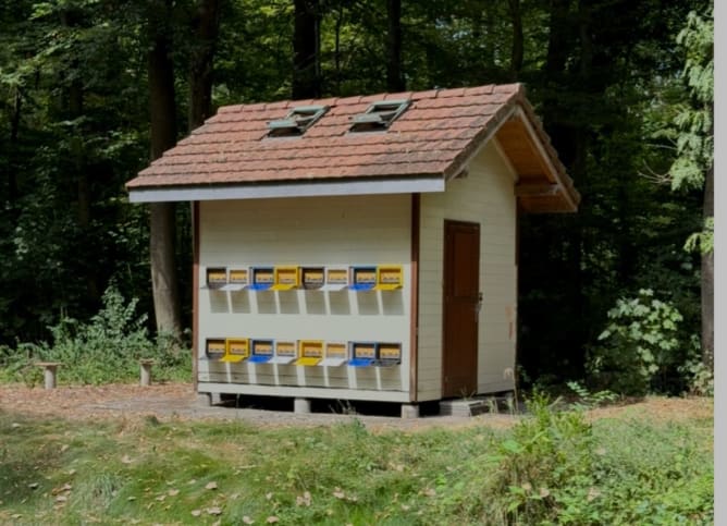 Das Bienenhaus heute