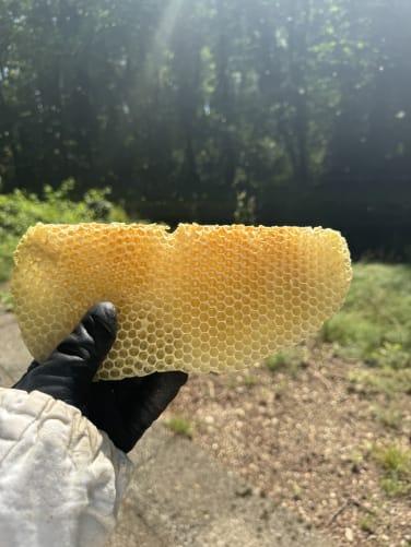 Die Natur ist einfach phantastisch