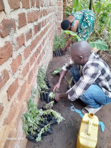 Wakiso 2024