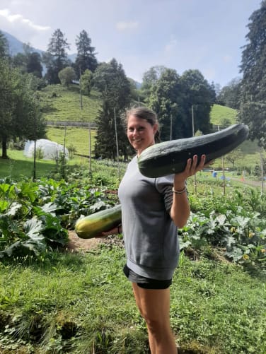 Ein Selbsterntegarten versorgt über 20 Haushalte mit Klostergemüse.