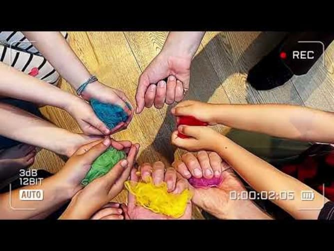We bloom