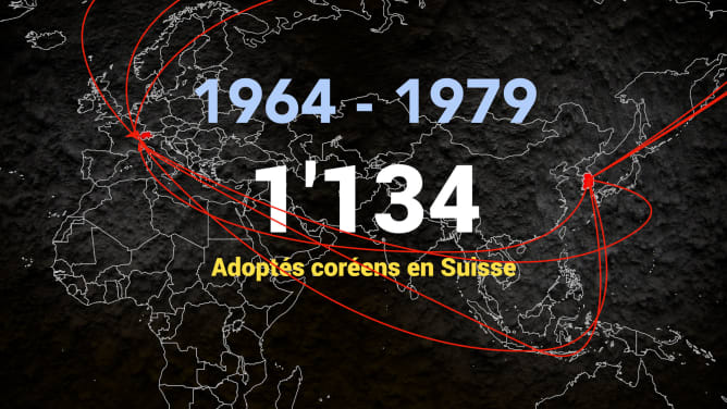 Statistique : enfants adoptés en Suisse