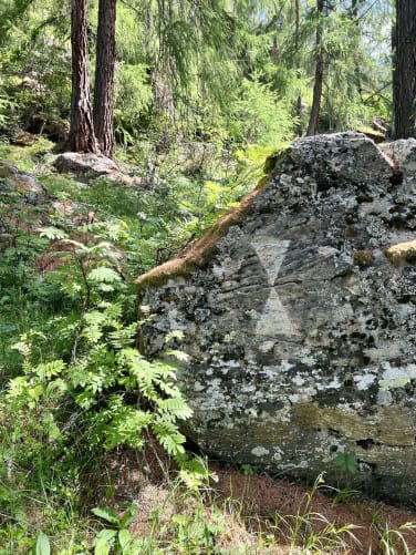 Signature engraved in rock/ Switzerland