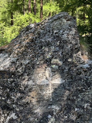 Signature engraved in rock/ Switzerland