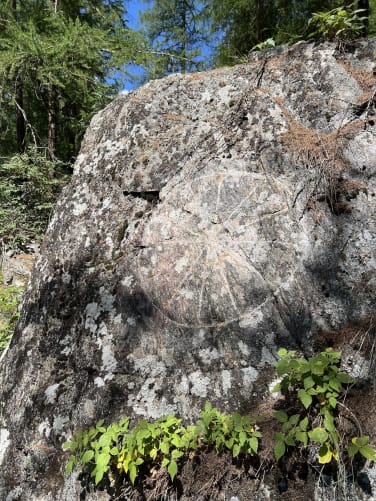 Signature engraved in rock/ Switzerland
