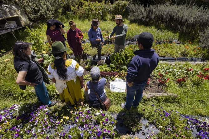 Inspecting the gardens to compare the soils in Upayaku