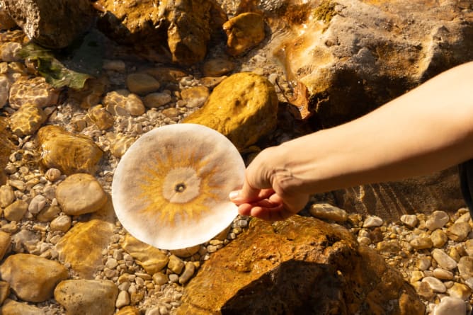 Similar substances share similar characteristic patterns and colors (Photo: Tine Lisjak)