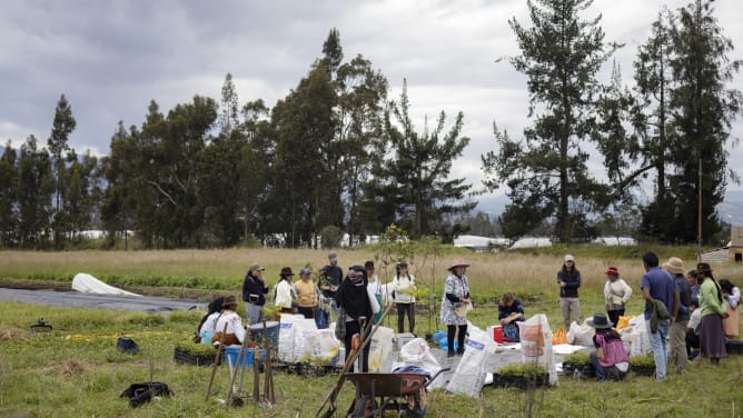 Soil care workshop, La Divina Papaya and Ekorural at Upayaku near Cayambe