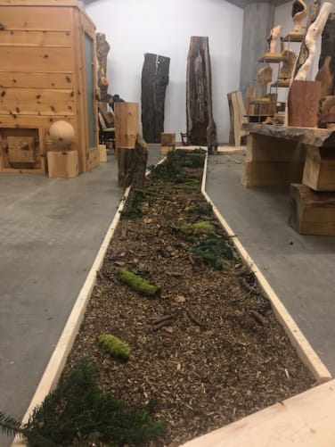 barfuss Waldweg