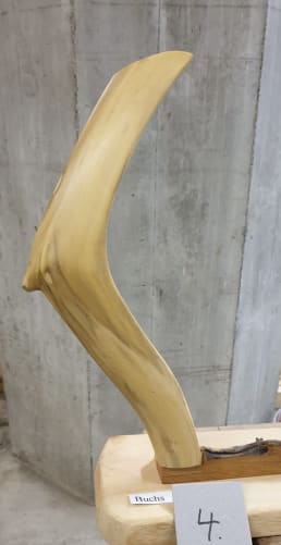 4. Buchsbaum, «Der Nase nach», Klaus Neumann, Höhe 380mm, Fr. 230,-