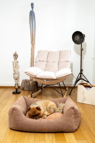 Dog Bed Kingston Basic