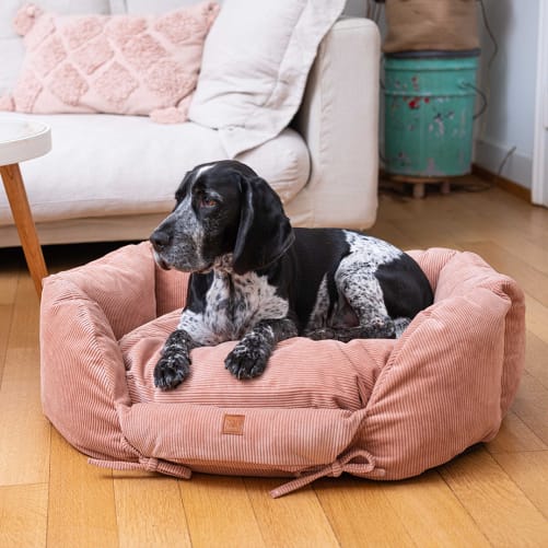 Dog Bed Ronny