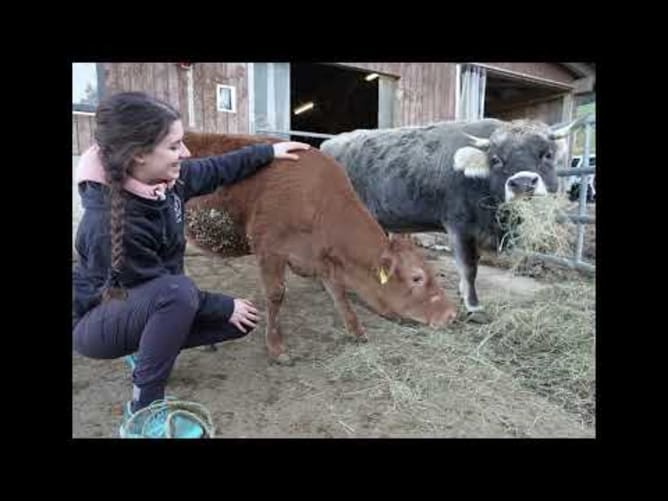 Penelope's life is save!