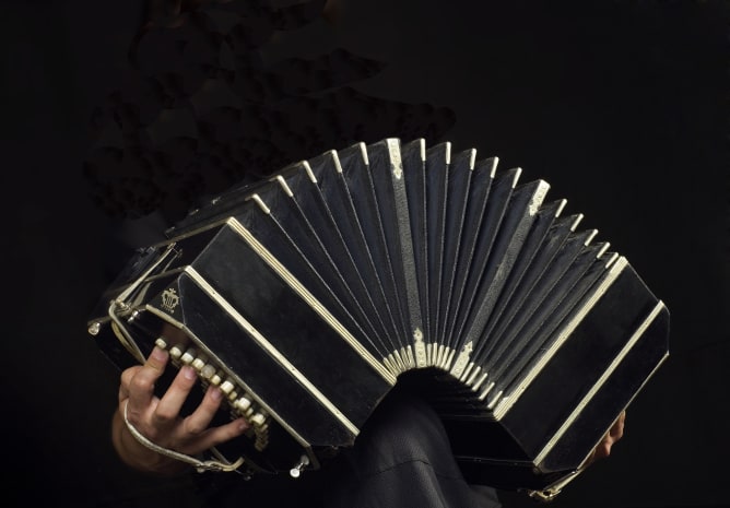 Bandoneonspieler Matías Rubino. (Ausschnitt, Originalfoto: © Jorge Royan, www.royan.com.ar / CC BY-SA 3.0)