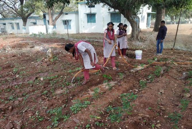 Activités agricoles organisées par WDWS dans la même école