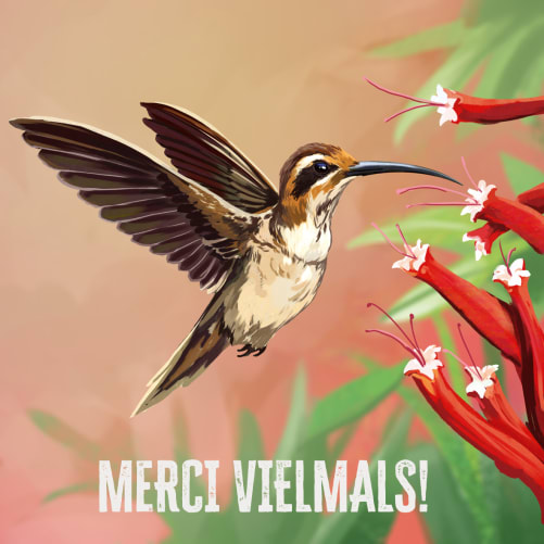 Merci!