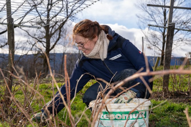Zahlreiche Gartenarbeiten sind Voraussetzung für einen guten Ertrag, den wir später zu hochwertigen Eigenprodukten verarbeiten.