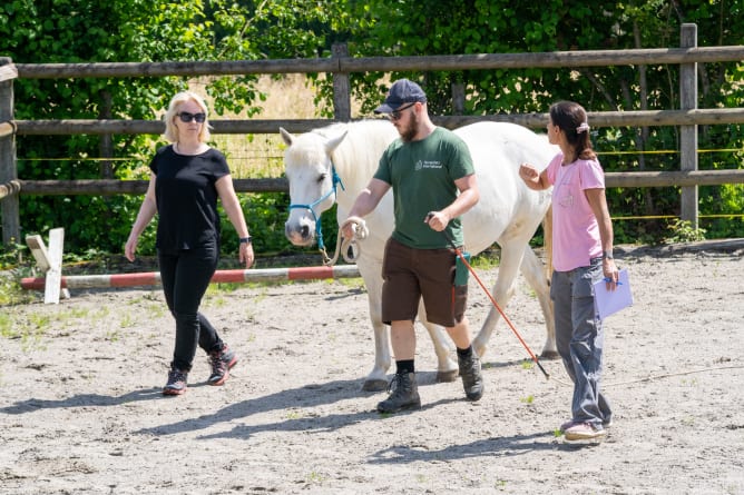 Mit unserem Arbeitsbereich Ruggewind bieten wir Teamevents für Firmen, aber auch Kindergeburtstage an.