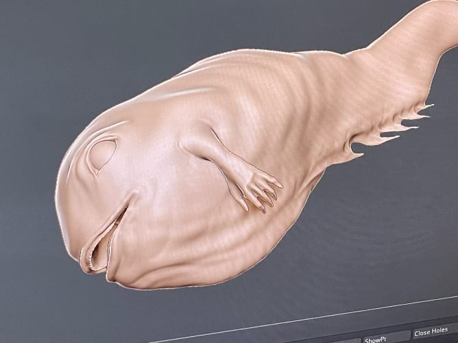 Vue 3D du poisson servant à imprimer les premières ébauches en matériaux réels.