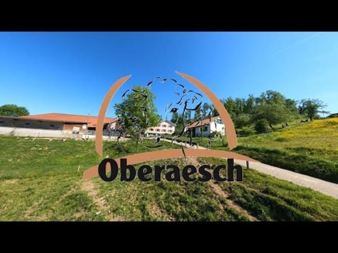 Oberaesch, ein Landwirtschaftsbetrieb mit rund 30ha Grünfläche, die abgeflogen werden muss!
