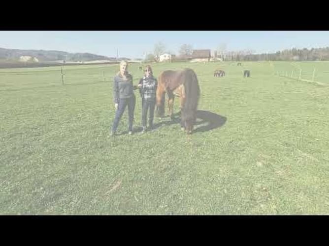 Die Reittherapeutinnen der Blindenschule Zollikofen rufen zu Spenden auf