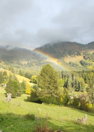 Quand la nature crée des ambiances magiques 