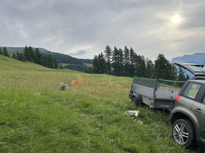Hänger für den Abtransport der Böcklein
