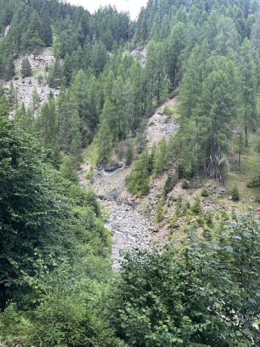 Die Clozza: 5 Minuten im Wald hinter unserem Hof