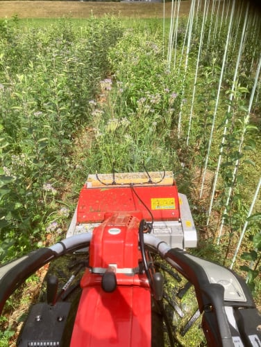 Unsere Kleinmaschine mit Schläuchen, um Pflanzenfermente gleichzeitig einzusprühen