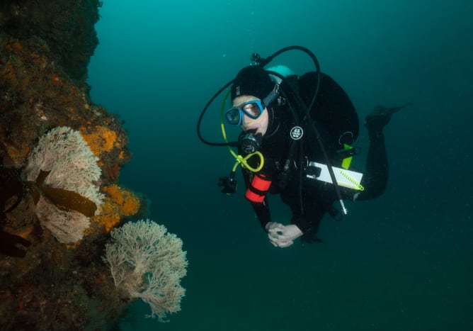 Lucille en plongée en Nouvelle-Zélande. Photo: Paul Caiger