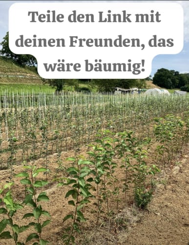 Die zweite Gründüngung ist ausgesät