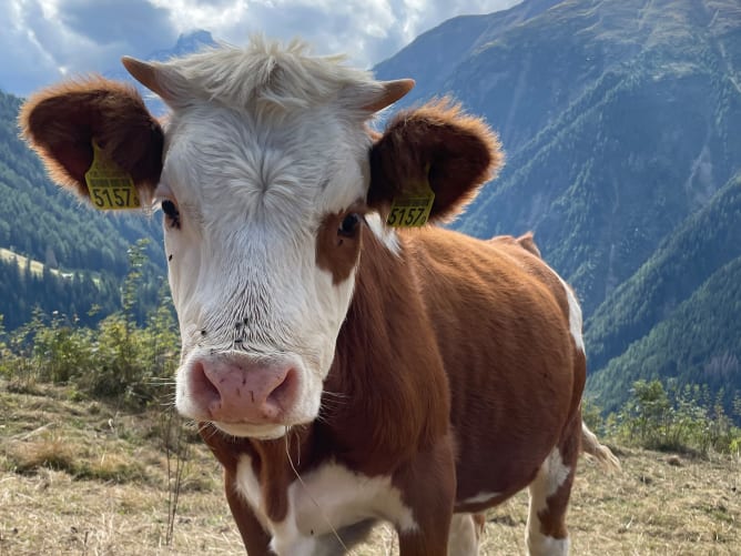 Bist Du dabei?