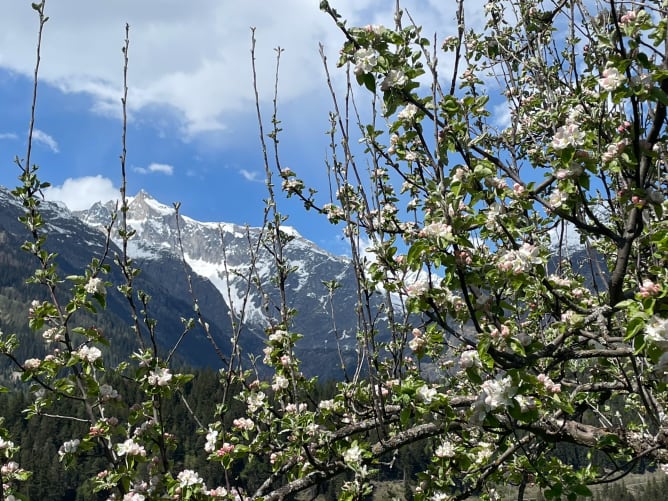 Blick auf den ewigen Schnee