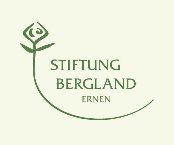 Das neue Logo für die Stiftung