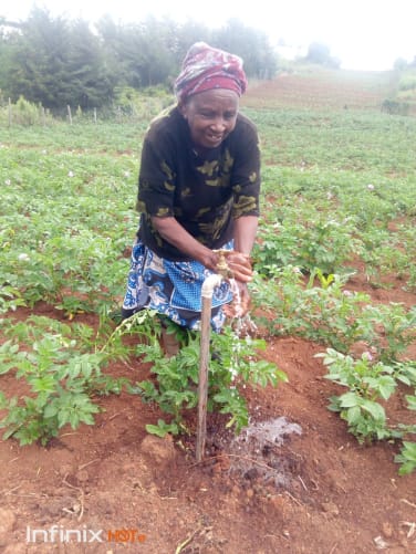 Sister's Rose mother waters potatoes that she will later donate to the school