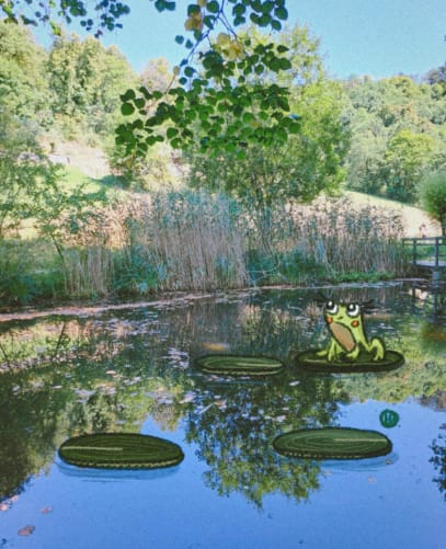 La grenouille au jardin botanique de Neuchâtel