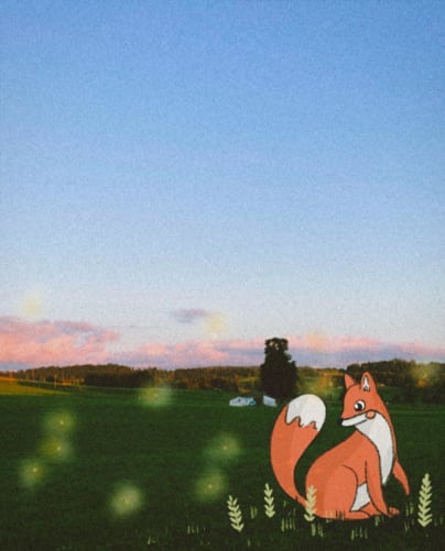 Le renard au Valanvron
