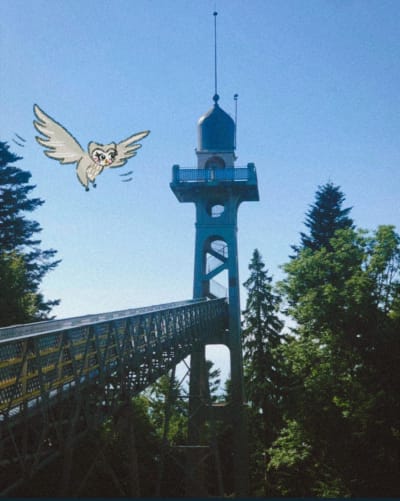 La chouette en repérage à Chaumont