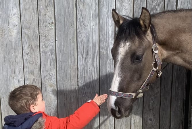 Kéa, notre jeune jument paint horse, déjà très détendue avec les enfantss