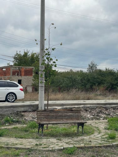 Reparations of benches and wastebins (October)