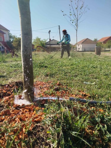 Municipality caretaking (September)