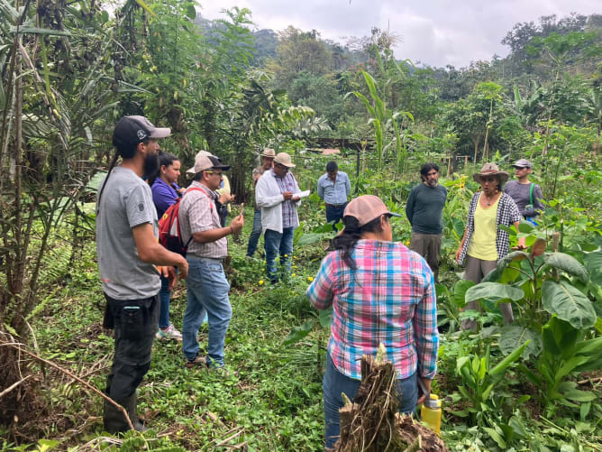 Agu (rechts) ist unsere Expertin für die nachhaltige Anbauweise DAF.