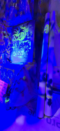 Let's Make Our Hearts Bloom