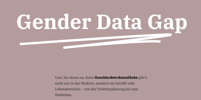 Gender Data Gap
